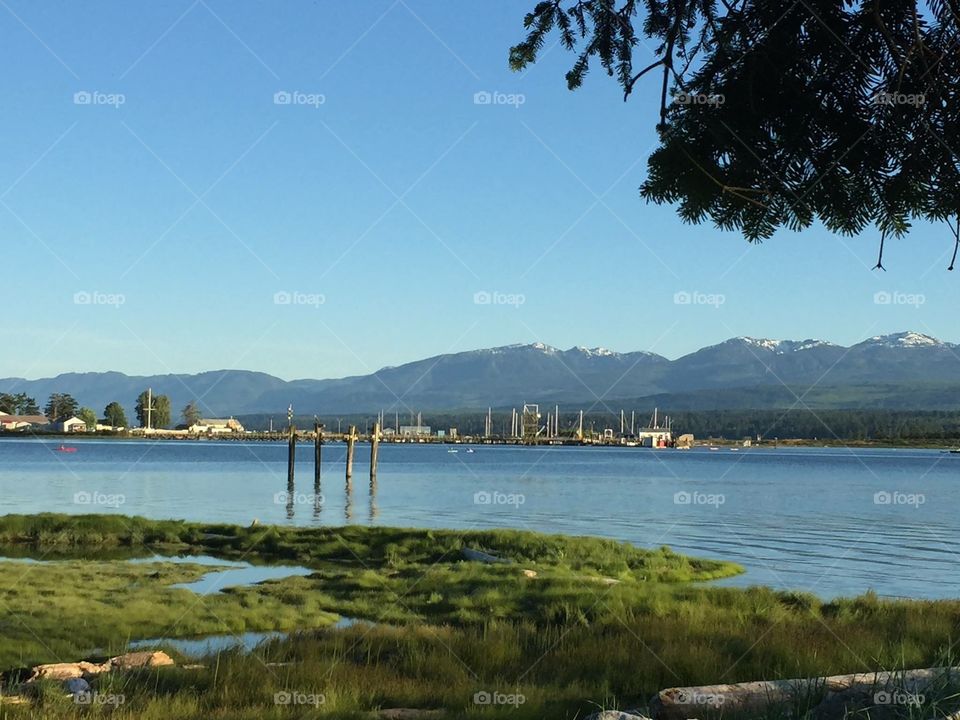 A shot of the beautiful Comox Marina from the Banks in the stunning Filberg park