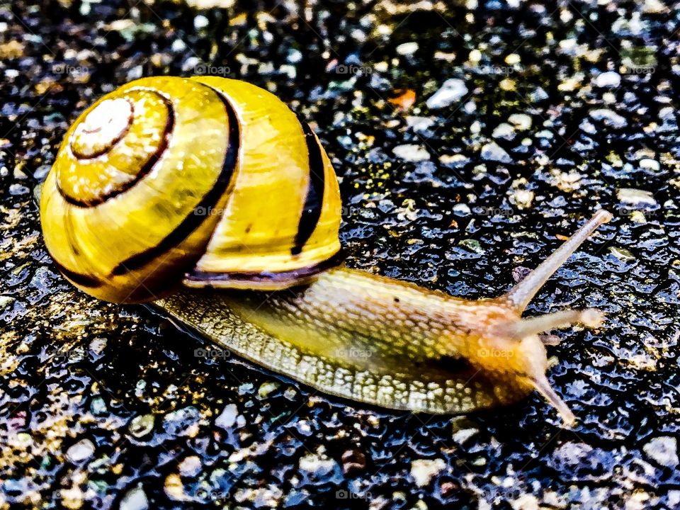 It's Officially Spring 