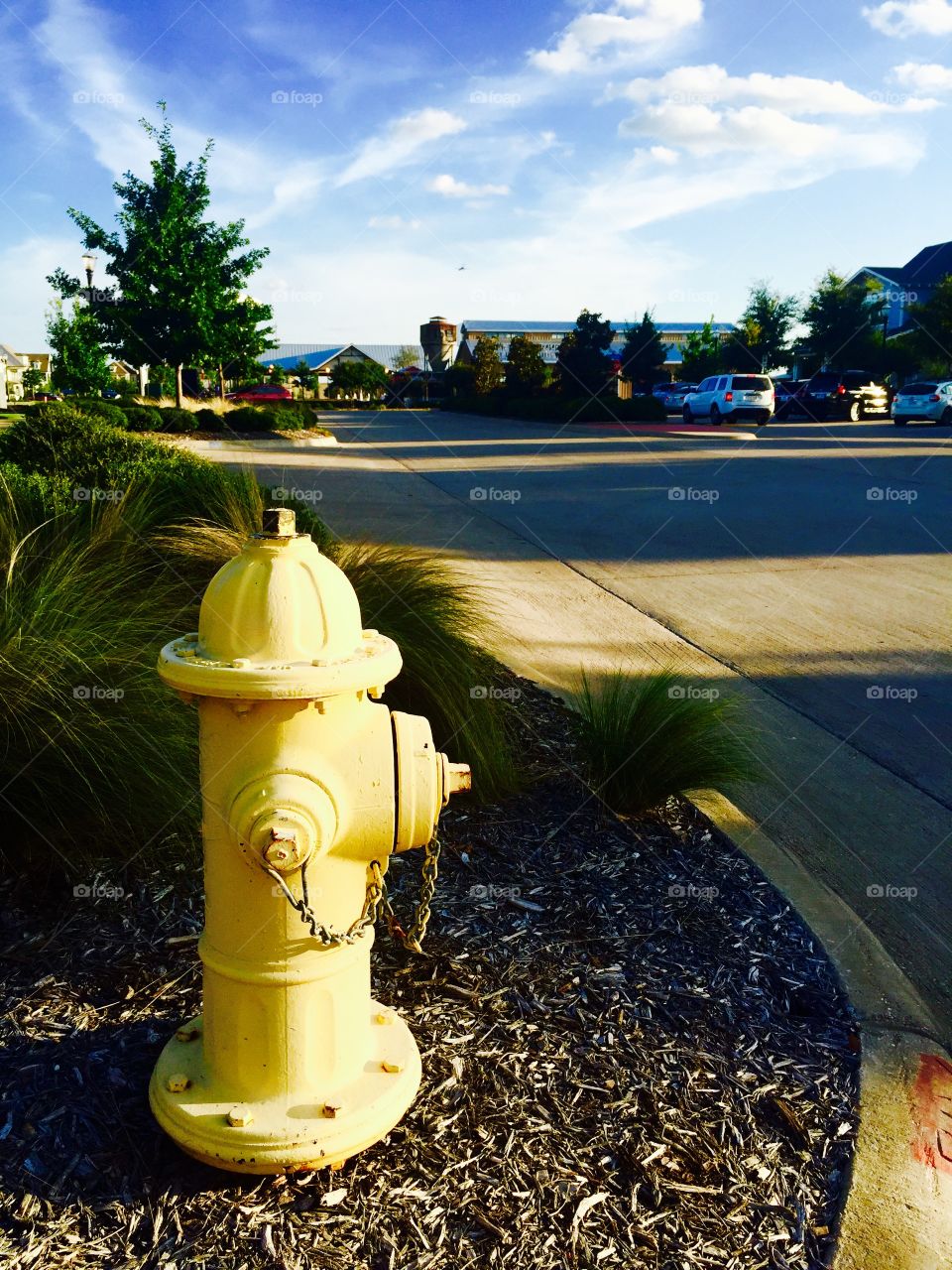 Yellow fire hydrant 