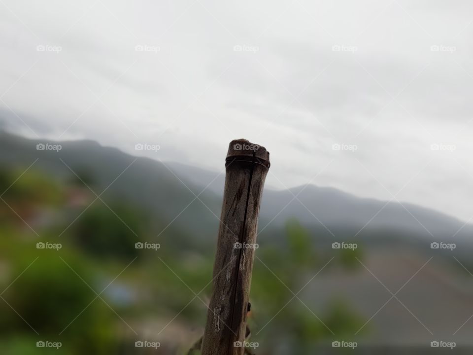 Lone bamboo post