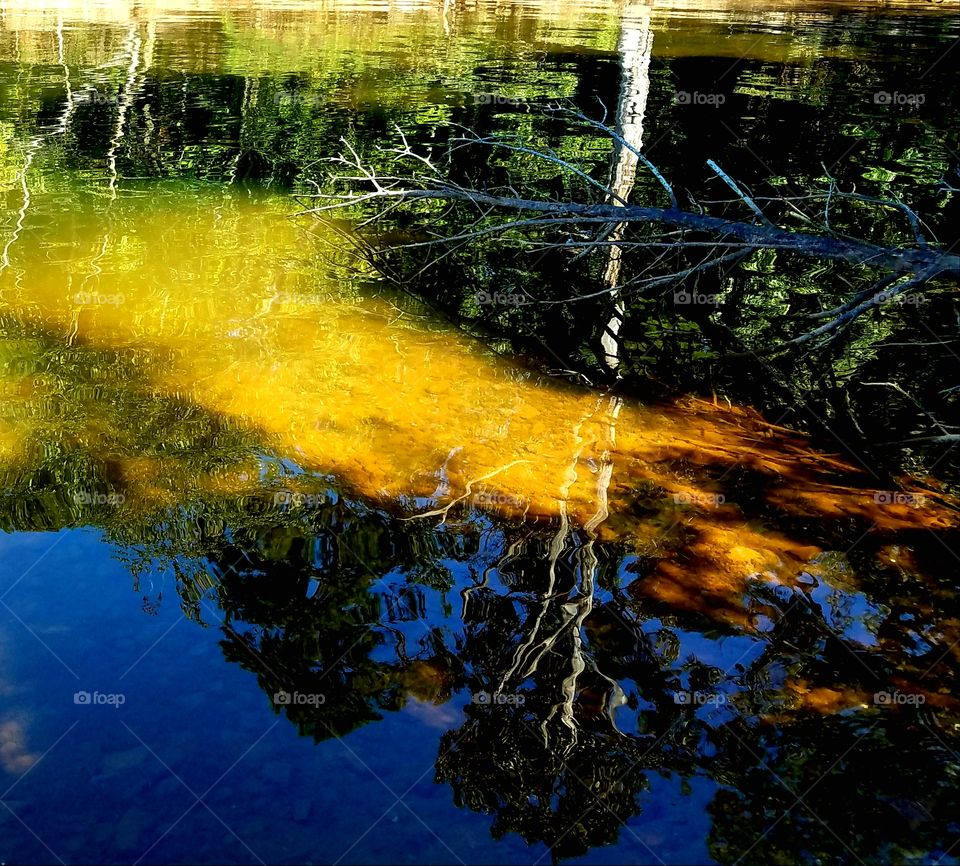 reflections of trees by the shore.