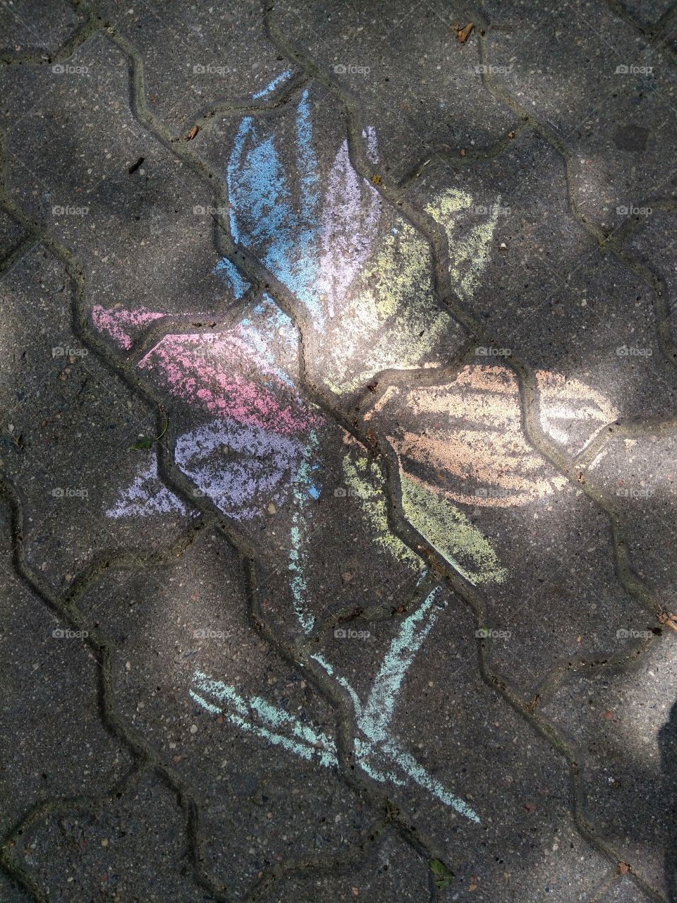 drawing colorful flower on a street pavement