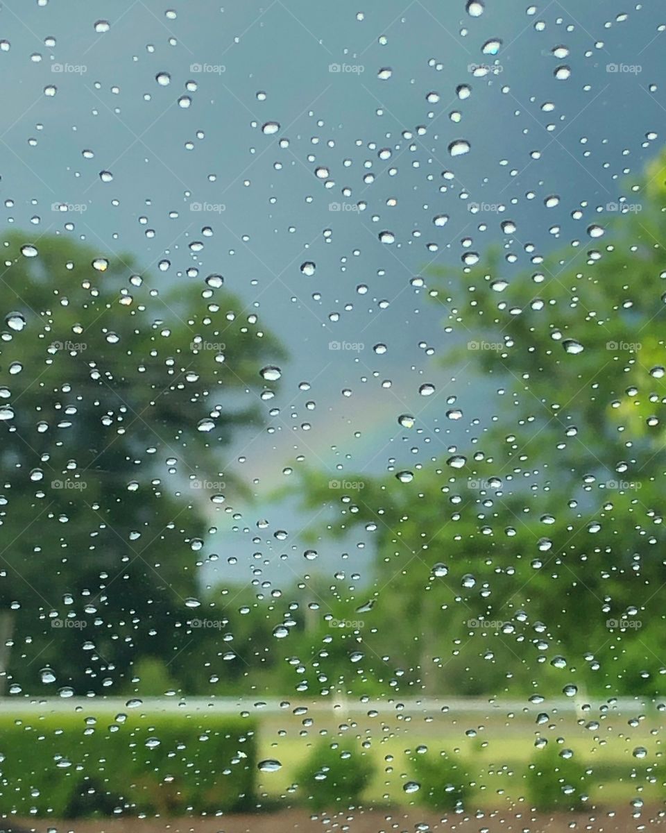 the promise of a rainbow 