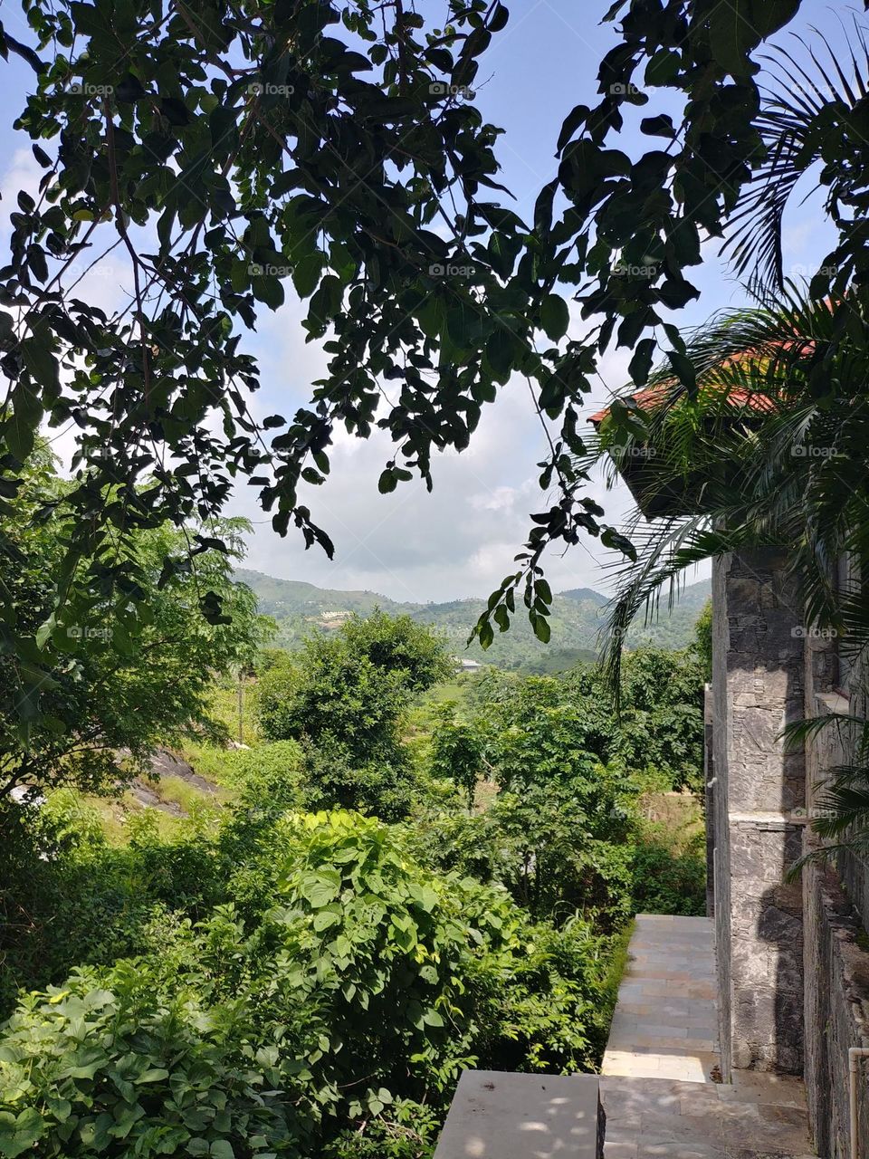 cottage natural view