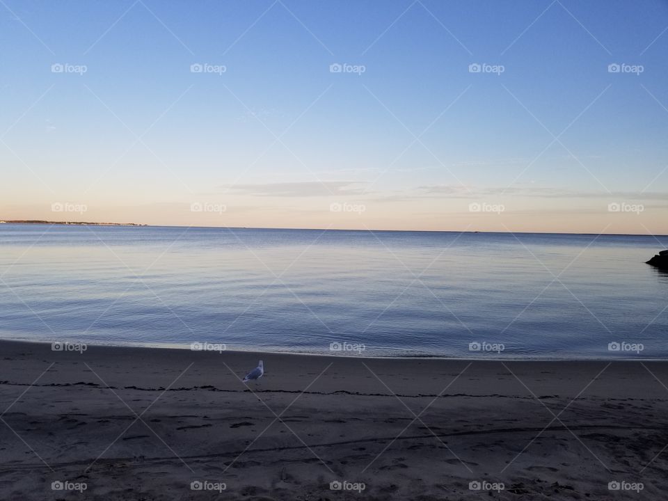 Water, Sunset, Beach, No Person, Sea