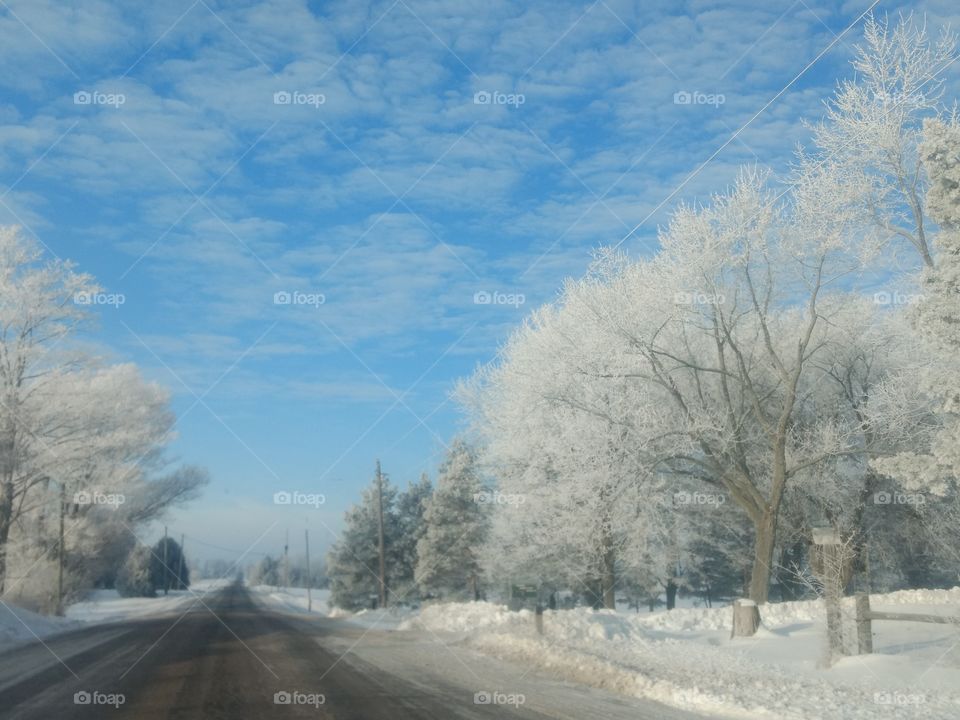Snow, Winter, Frost, Cold, Road
