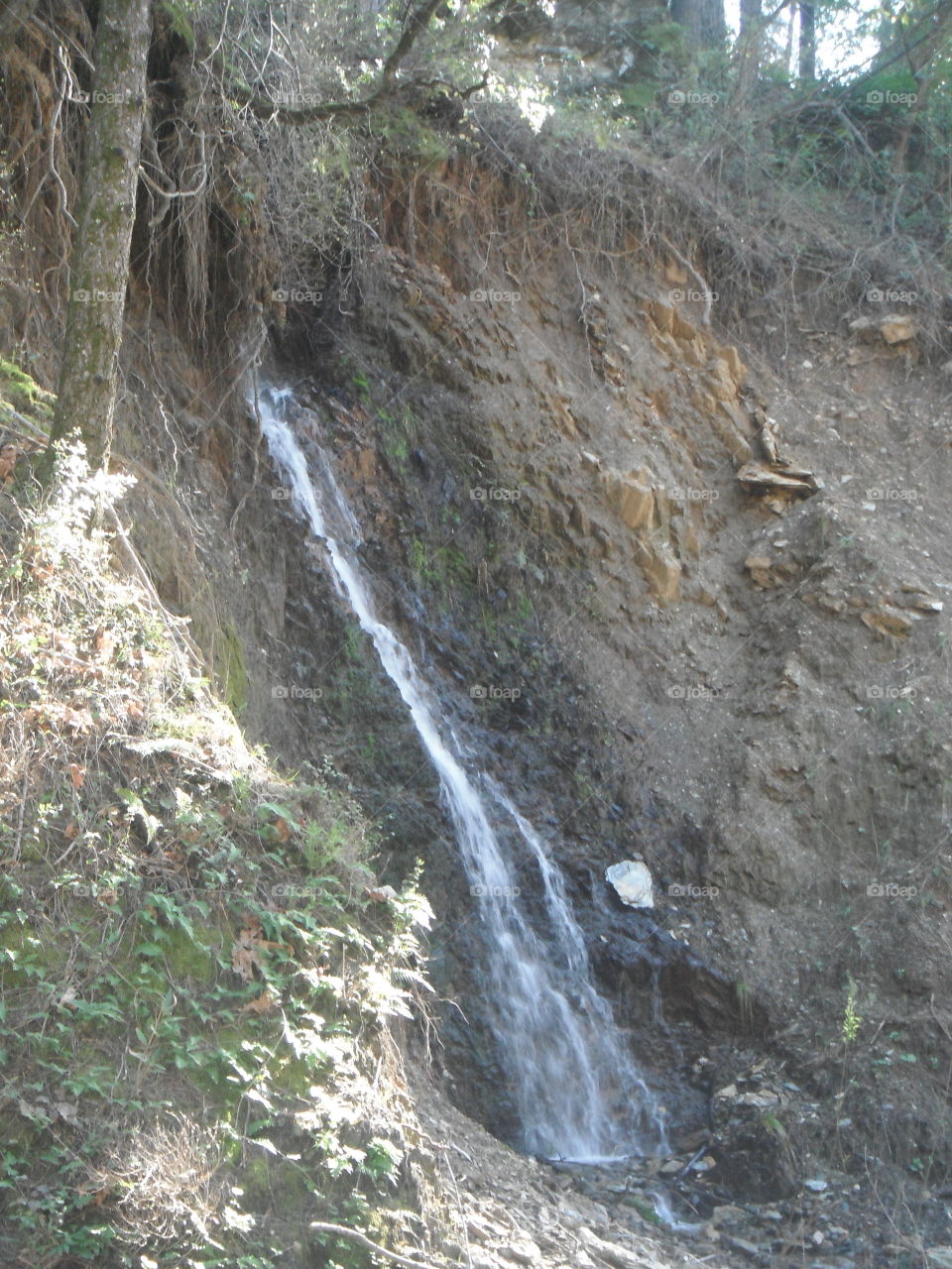 Roadside Waterfall