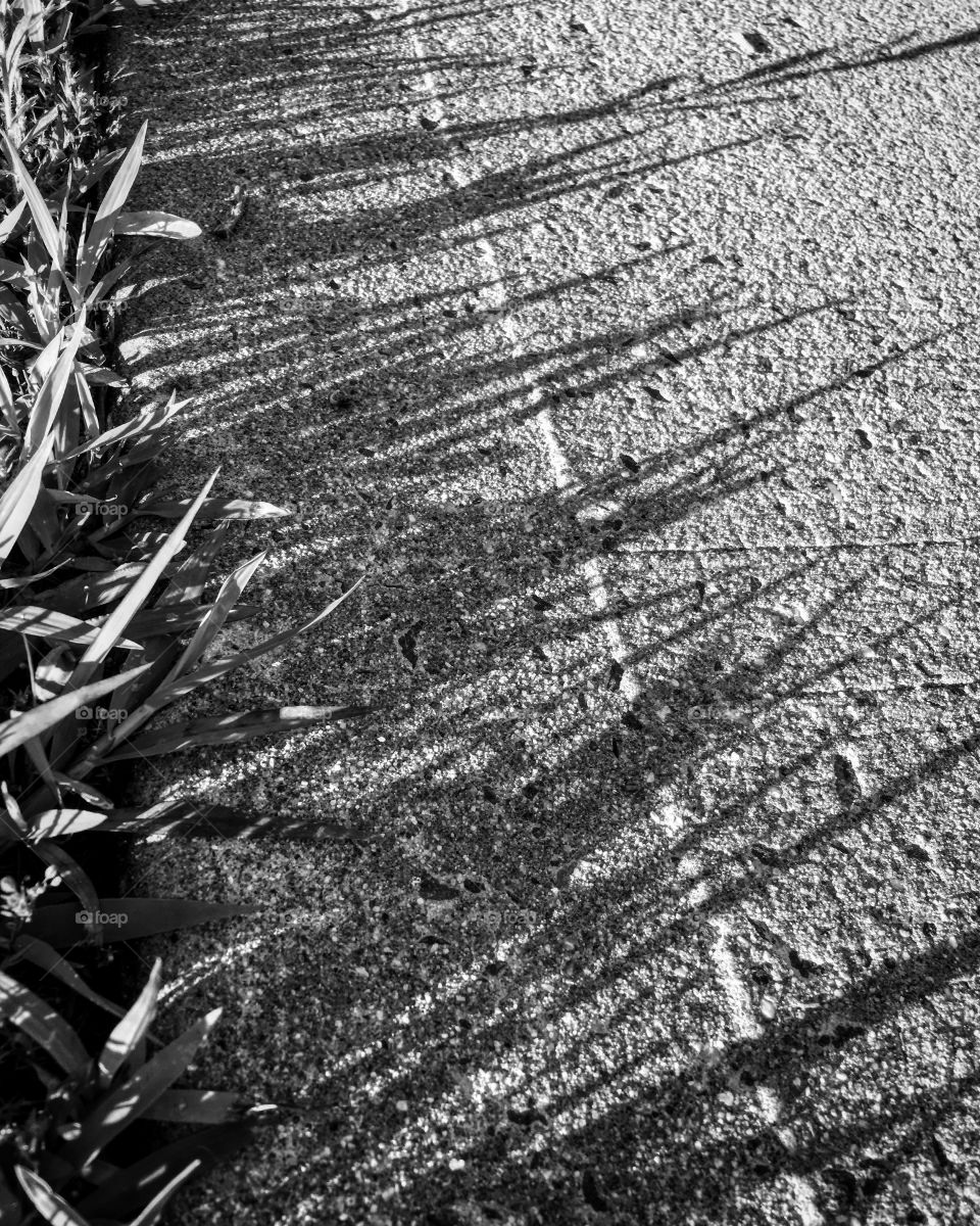 Grass shadow