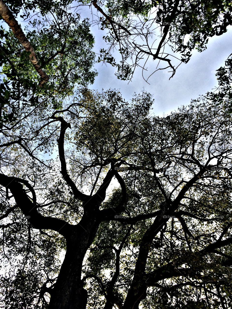 Travel and change of place impart new vigor to the mind.