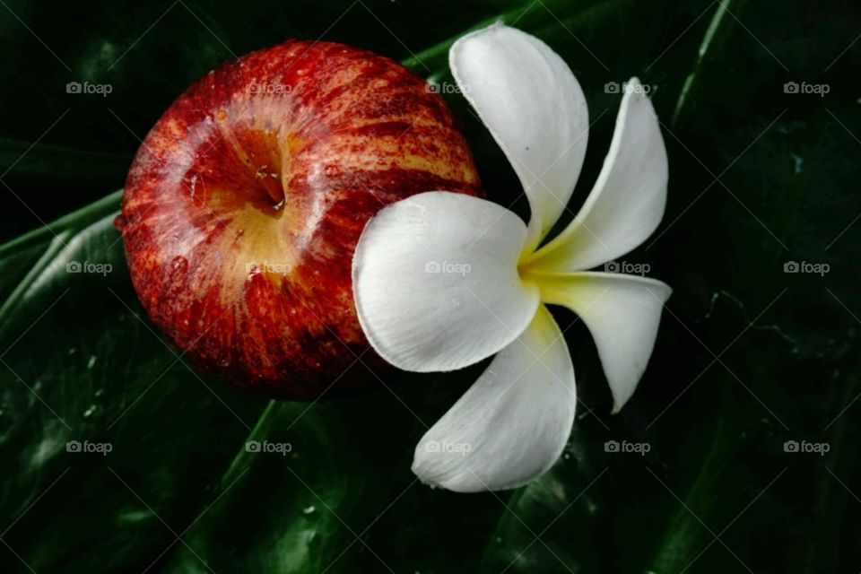 White flower and apple on leaf