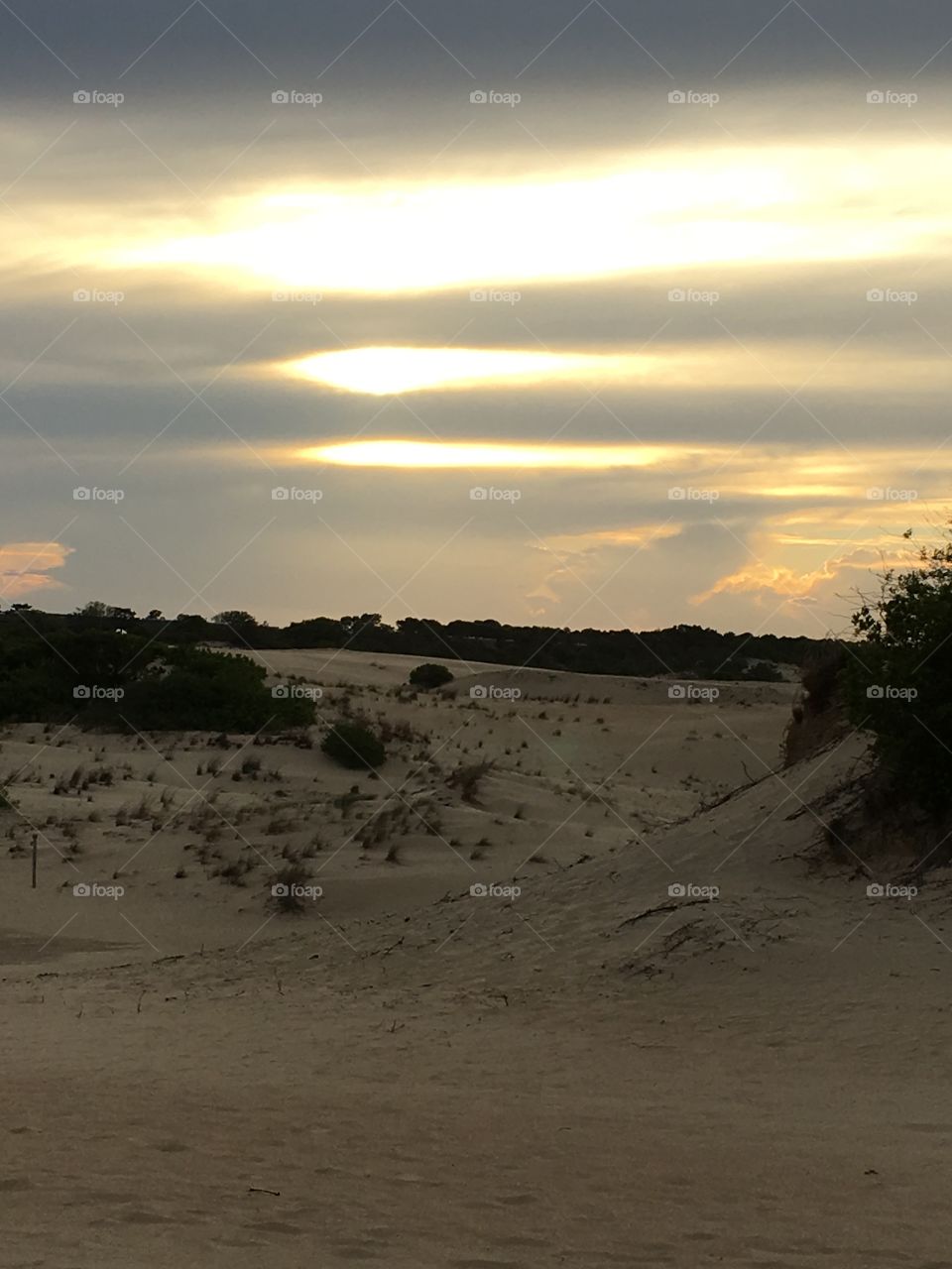 Sunset on sand dunes