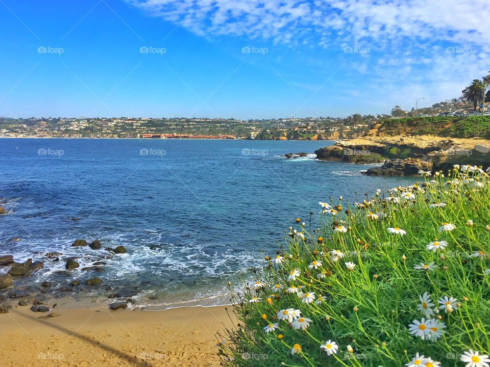 La Jolla Shores 