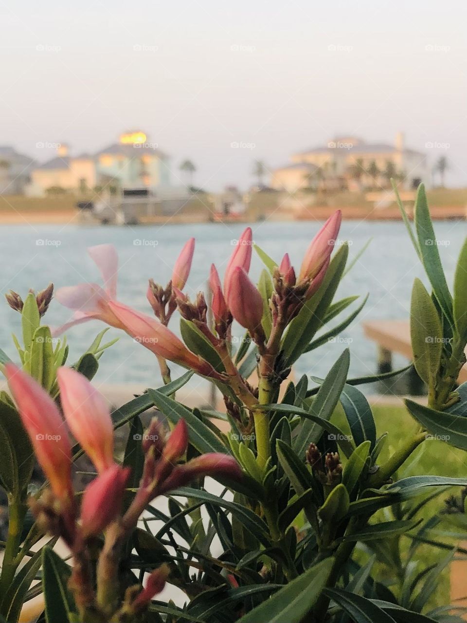 Our view across the bay at St Charles Bay in Rockport TX at sunset 