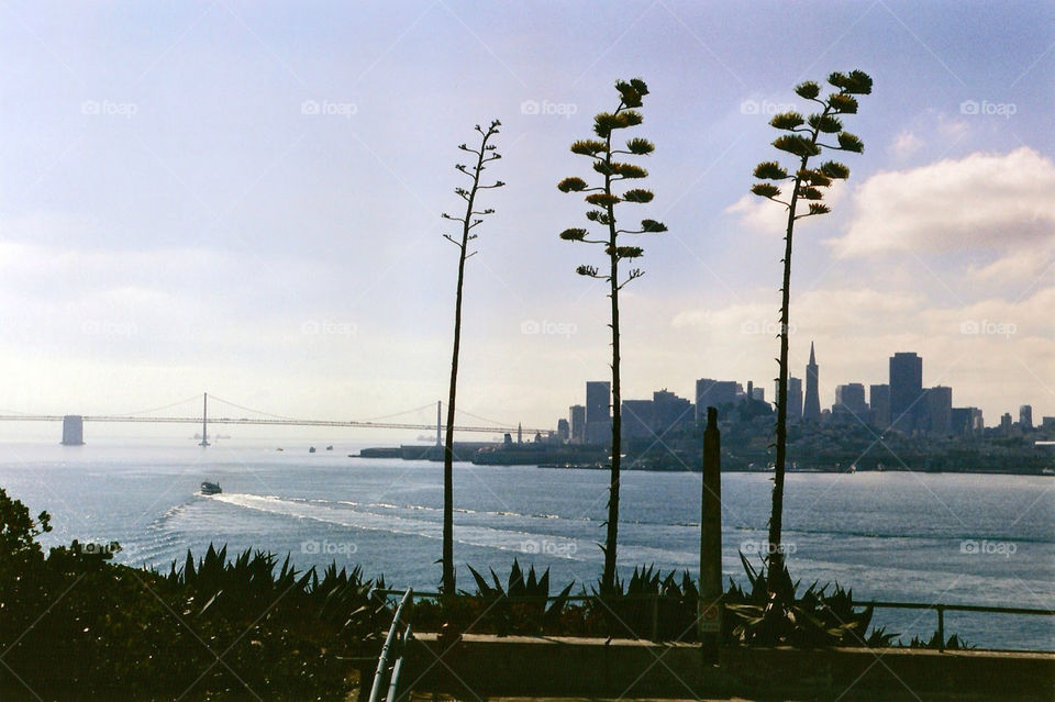 Skyline of San Francisco with Oakland Bridge from Alcatraz Island