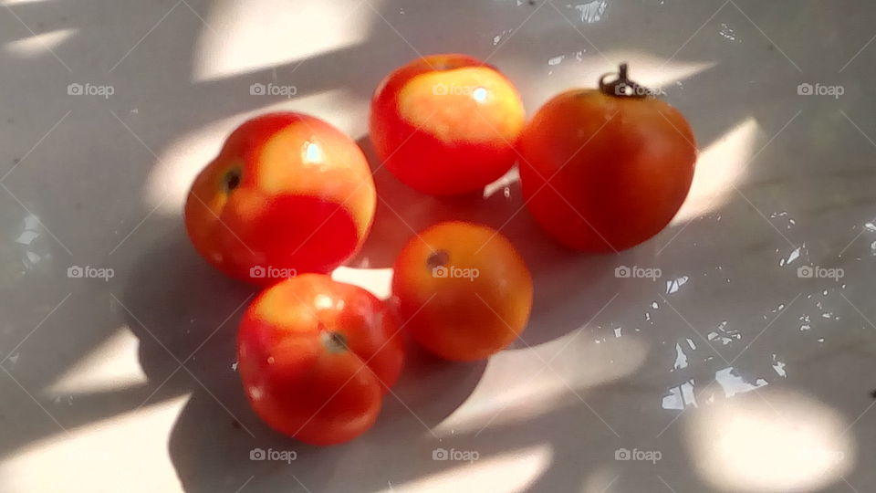 tomatoes