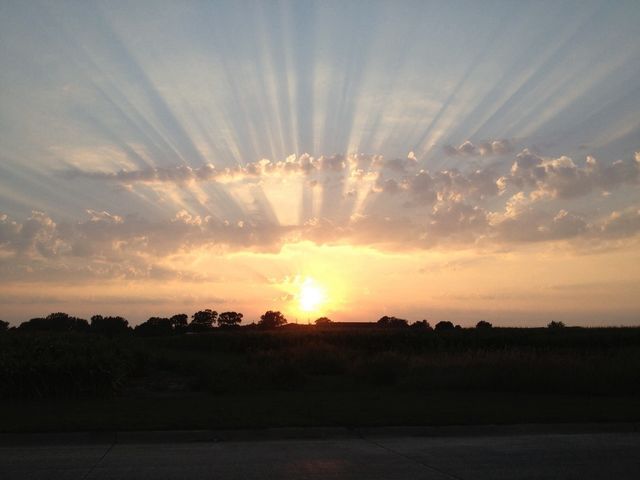 Sunset Sunrays