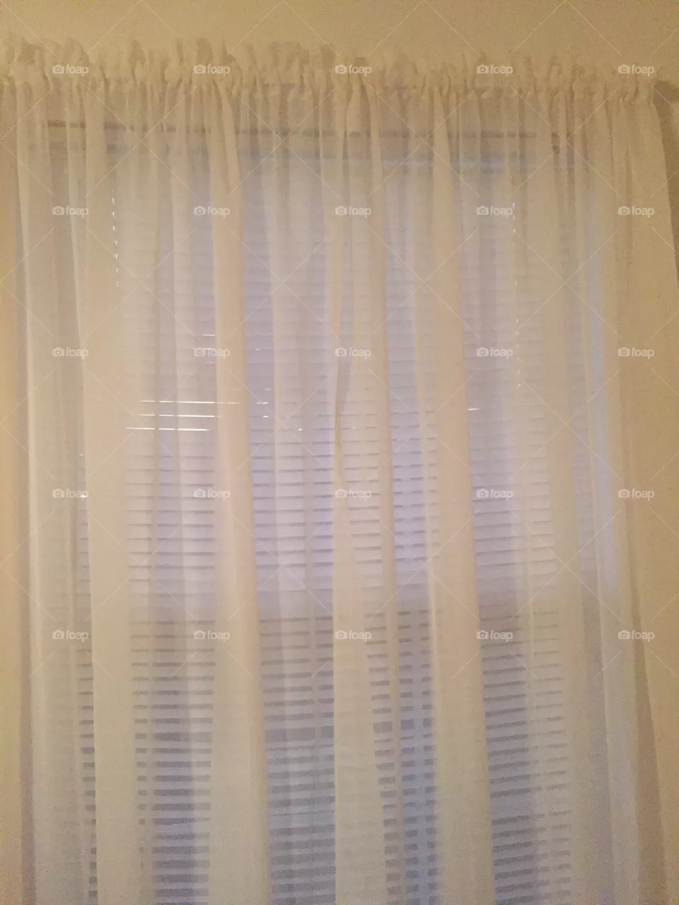 Window 