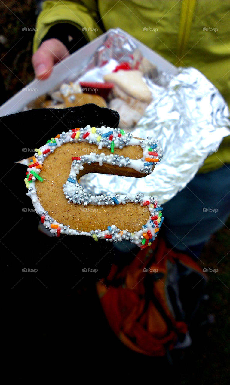 Christmas cookie