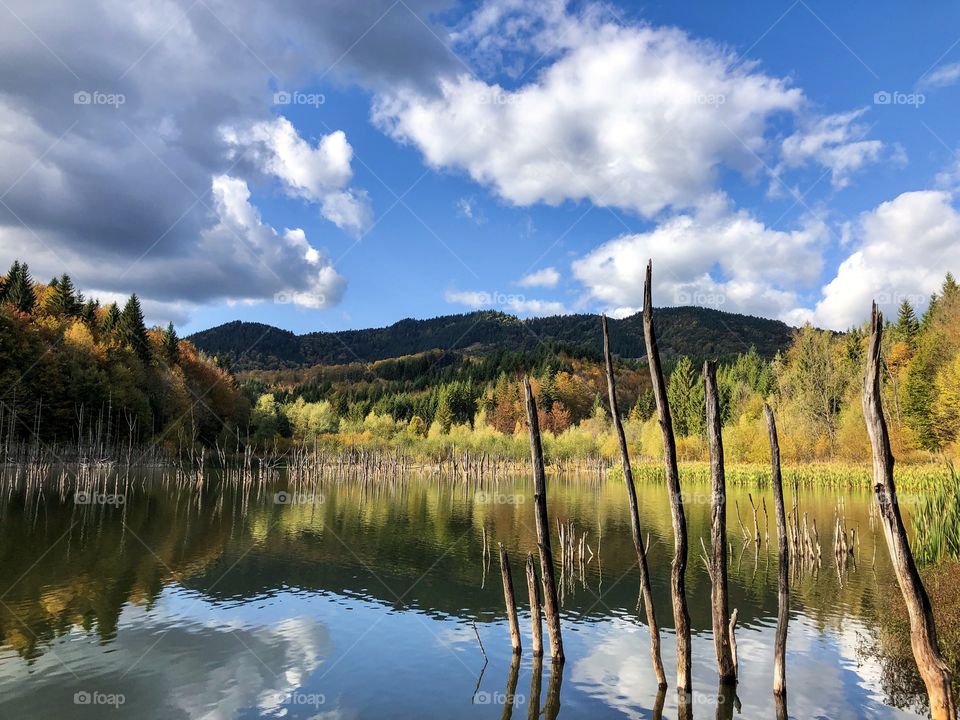 Autumn lake 