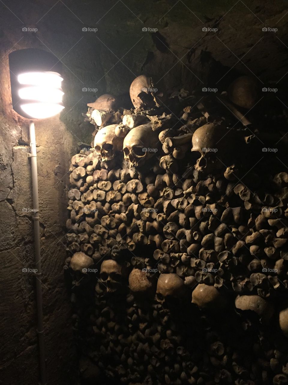 The Catacombs of Paris