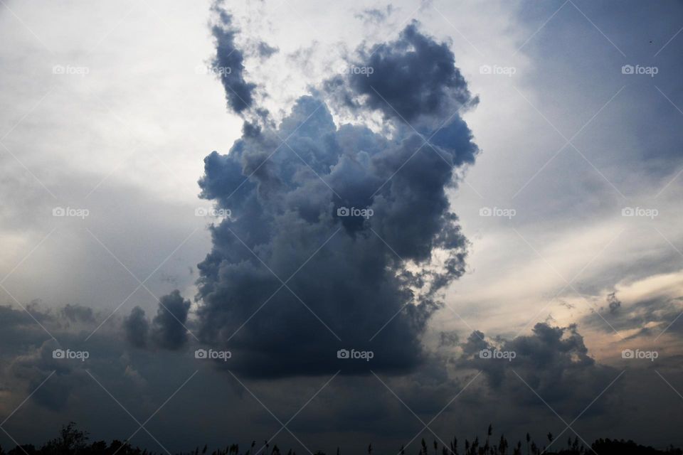 A rogue and ominous storm cloud hovers above a wildlife sanctuary reserve during the dusk hours of the day.