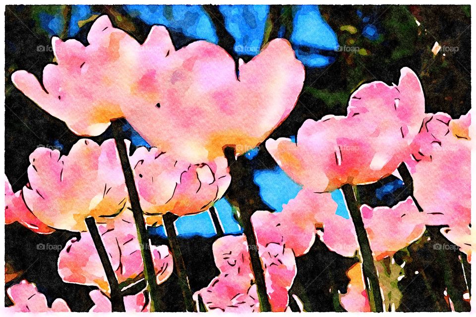 Painterly Tulips