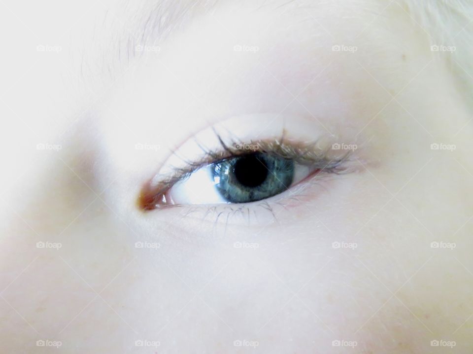 eye