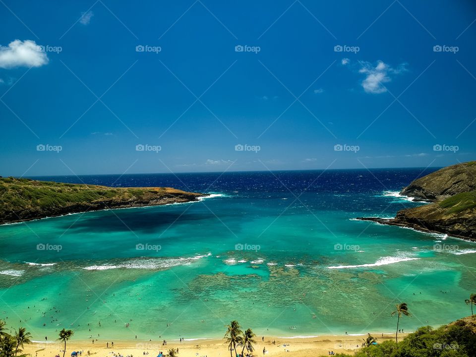 Beach area in Hawaii with corral reefs can be seen through the clear water.