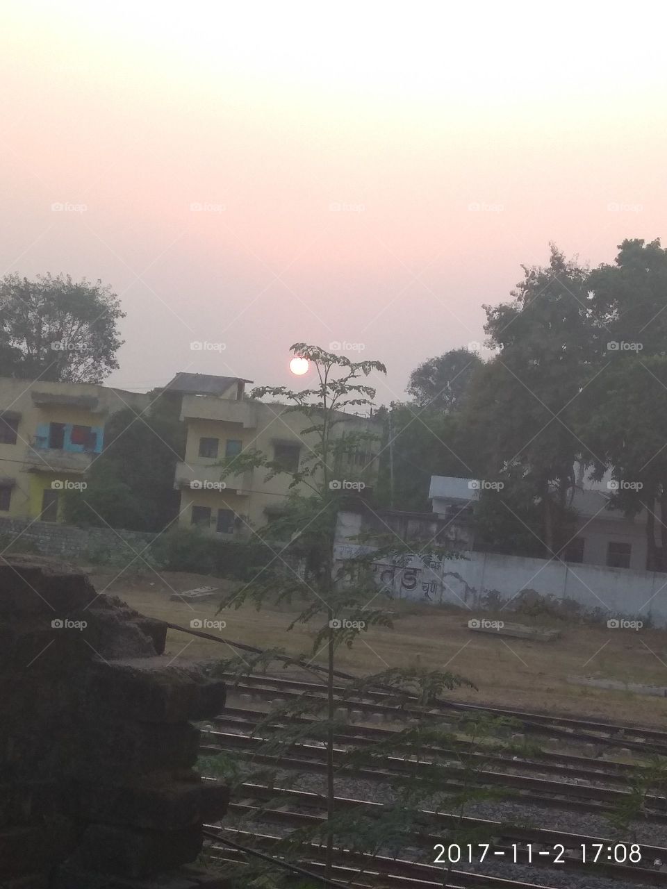 tree get higher then sun at a second.