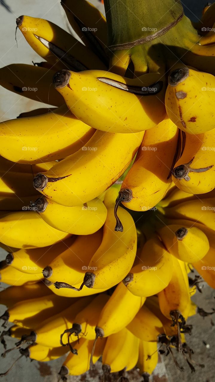 banana