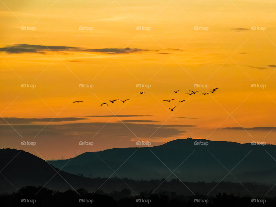 Beauty of golden light after Sunset - This photograph shows sunset, the sun went down behind the mountains. and a group of birds are flying on that light looking attractive. This is silhouette and shadow image.