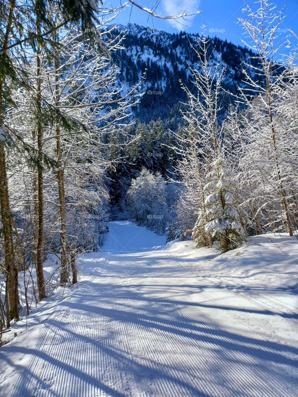 A Walk in the Mountains Snow