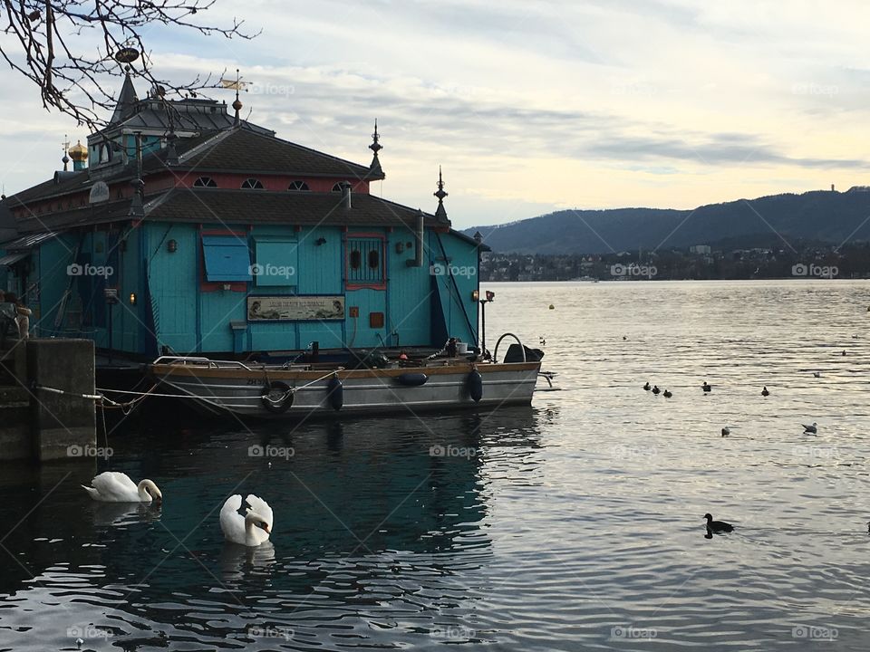 Blue peace. Zurich, Switzerland 🇨🇭 