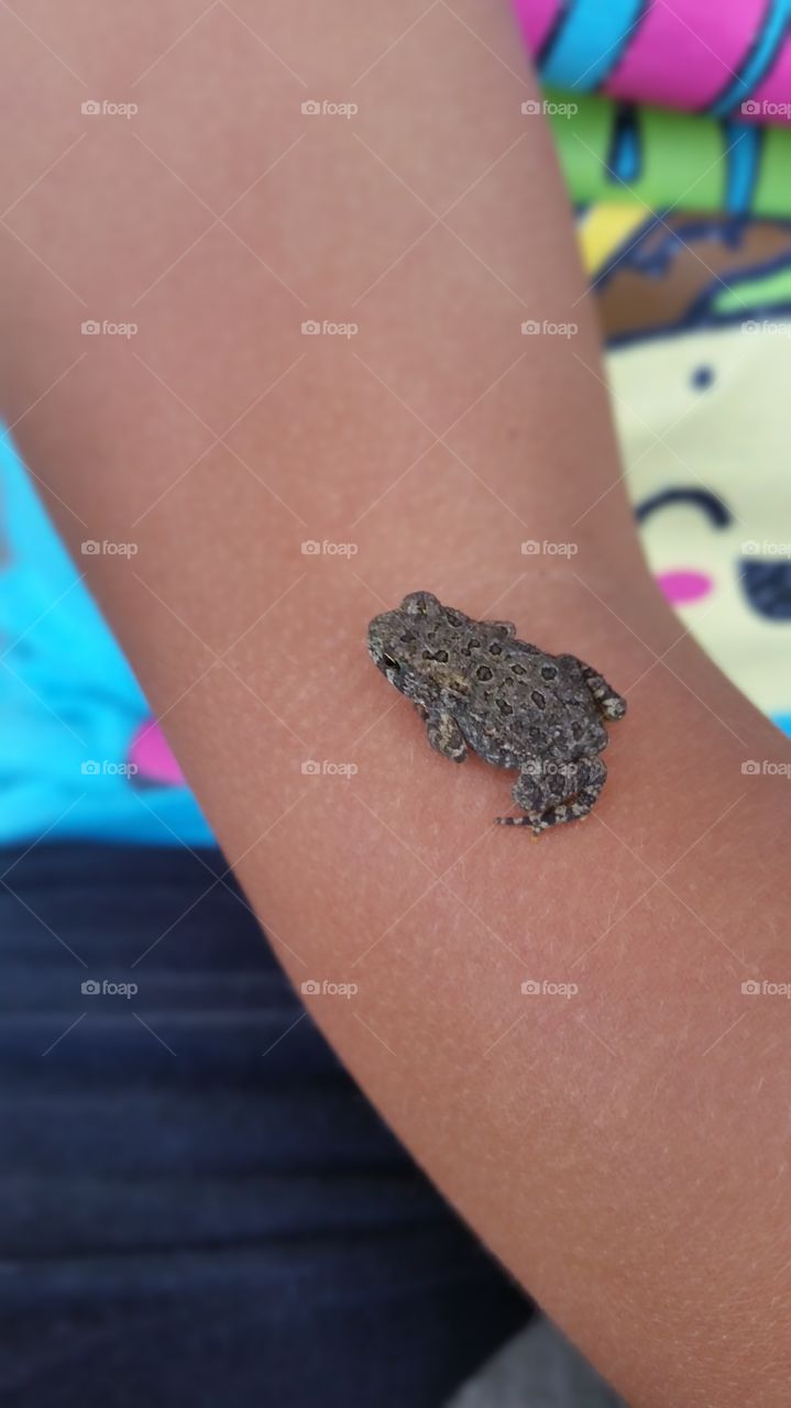 toad on arm