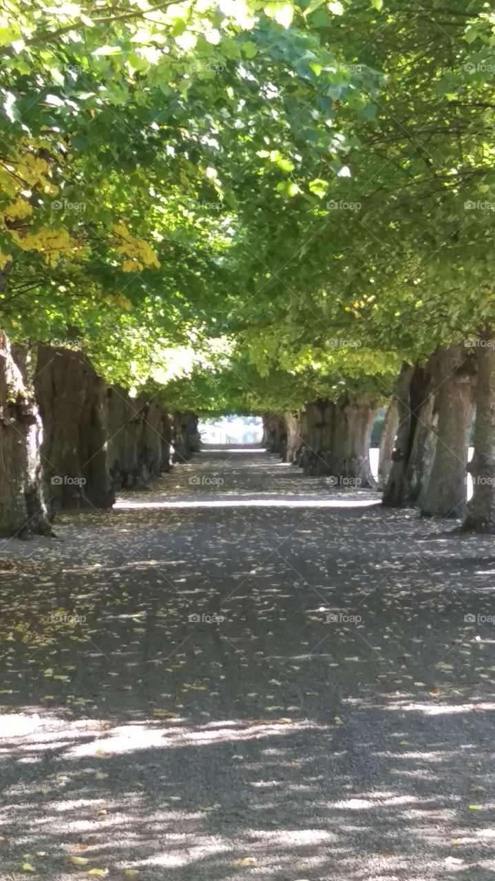 Waling in the garden of the Skokloster, Uppland, Sweden