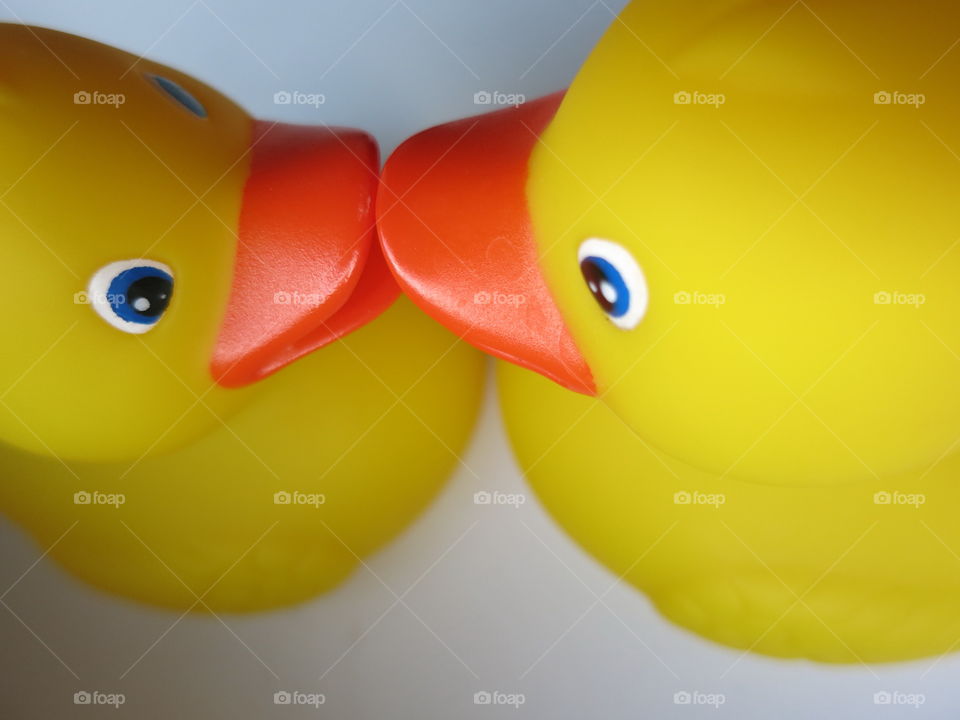 rubber ducks kissing