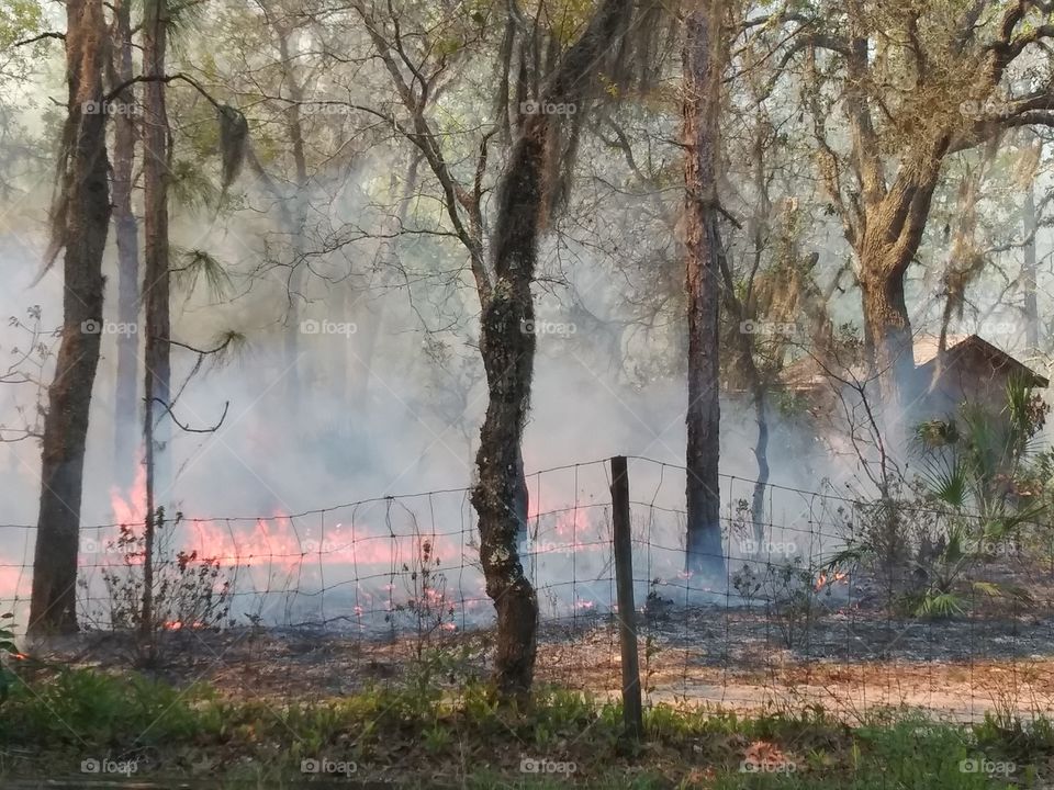 Controlled Burn