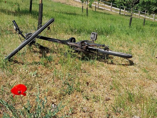 lonely bicycle