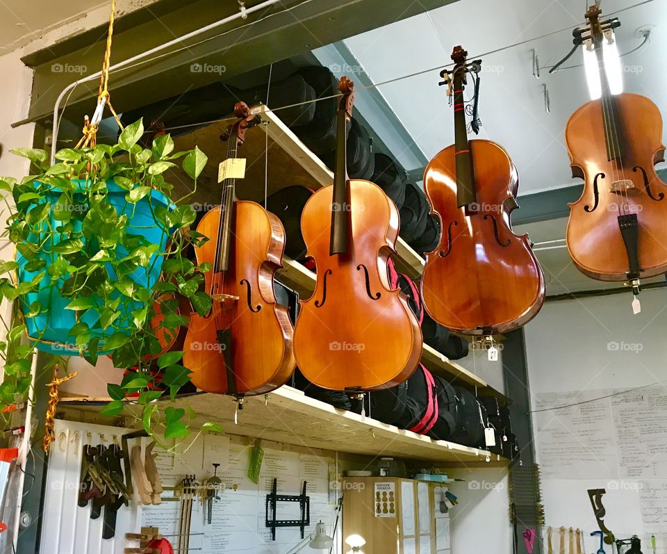  Cello Finishes Drying