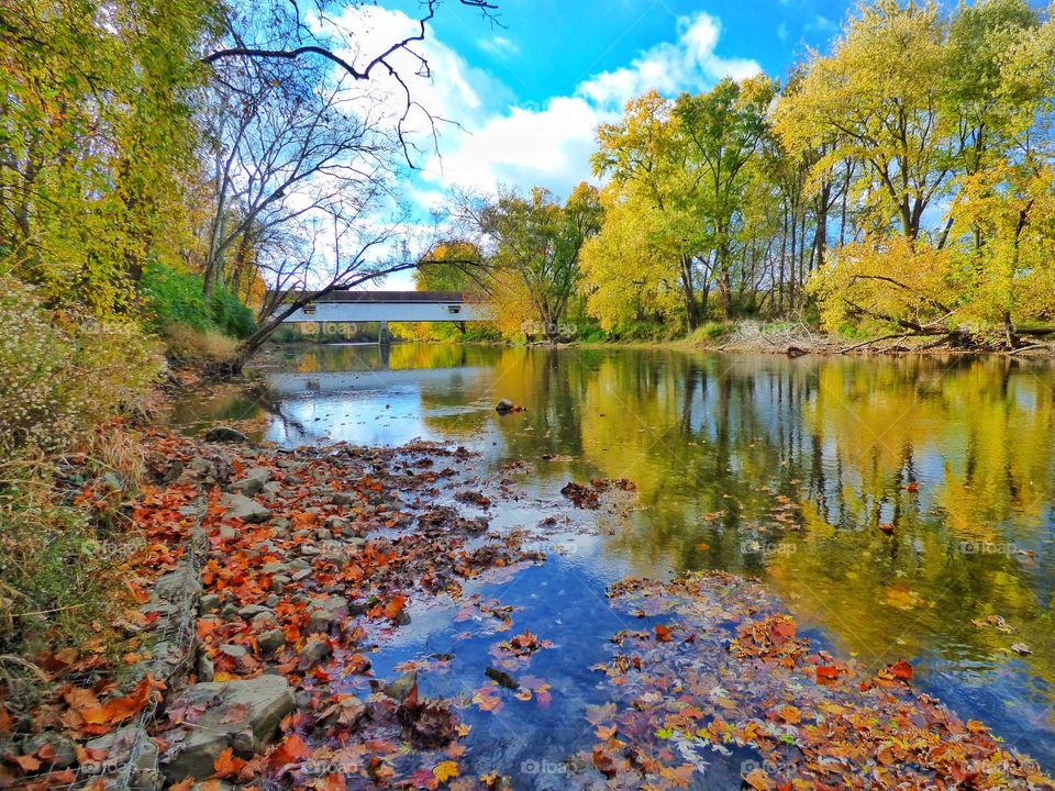 Distant view bridge over river in autumn