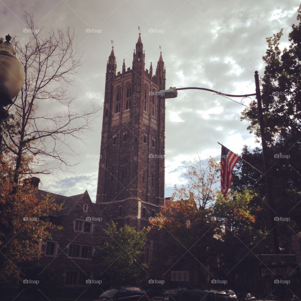 Princeton University