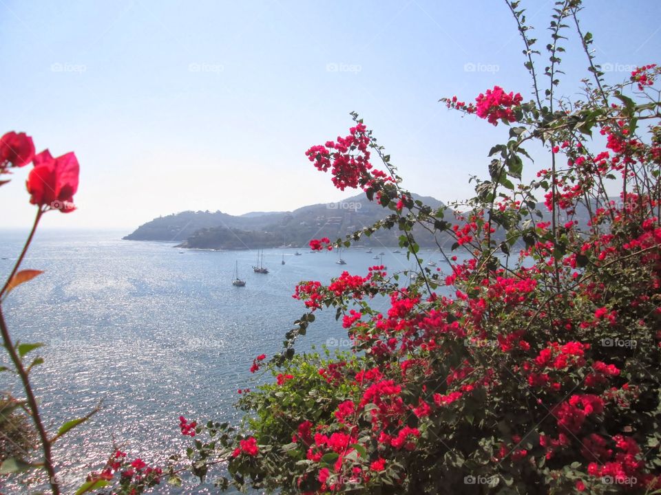 view of the bay. taken in zihuatanejo mexico 