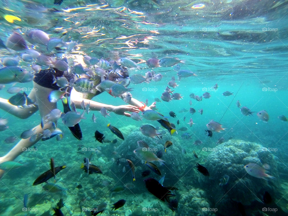 Girl Snorkeling, Swimming underwater with a hungry school of fish