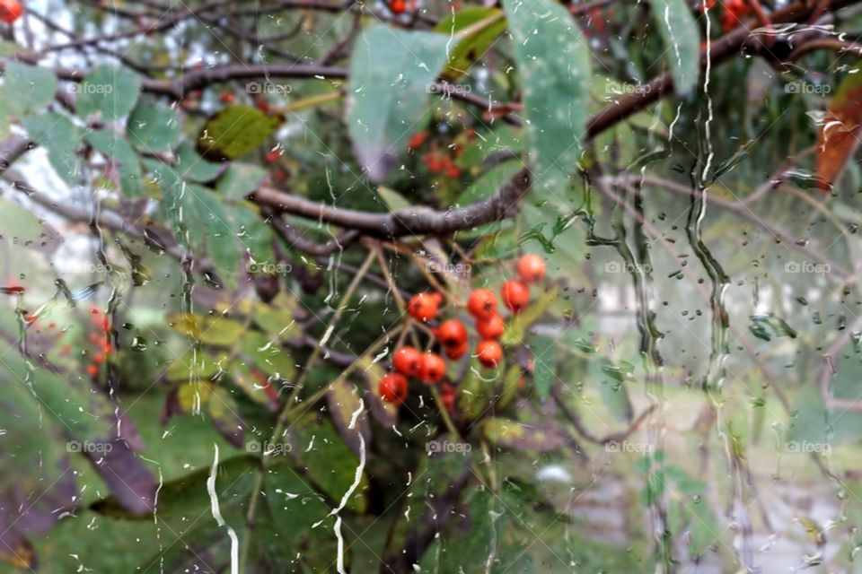 under the rain