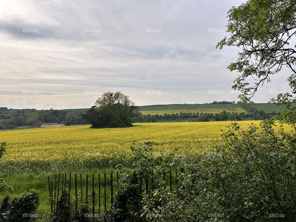 Nature combinations 💗