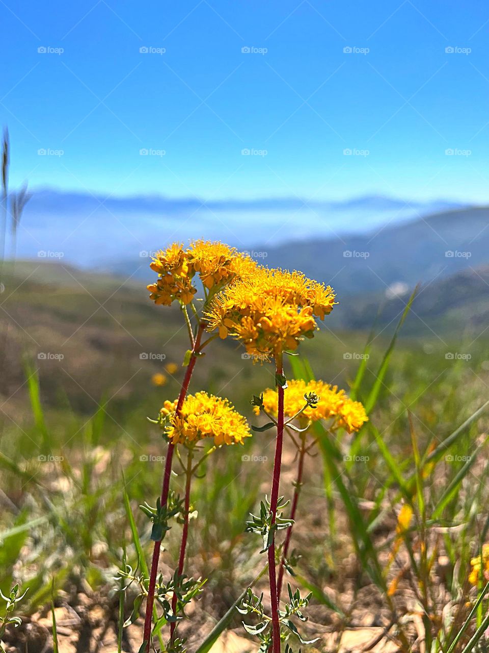 Many times you are in the throes of change
 That we find our way in life.
