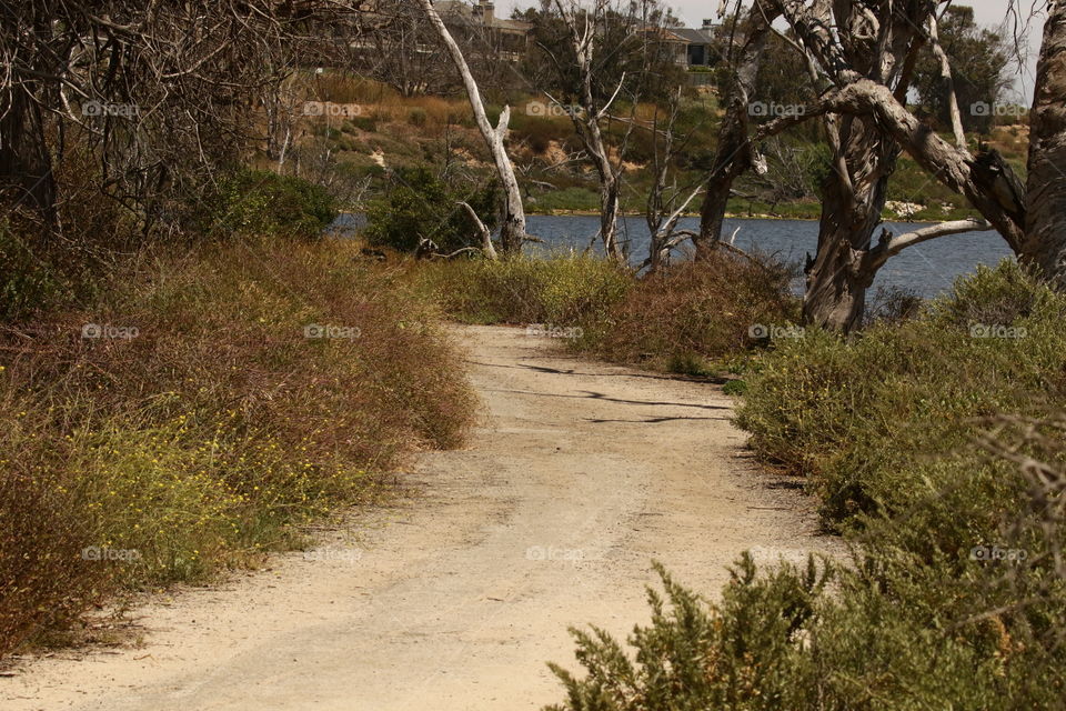 Hiking trail at Ecological Reserve 