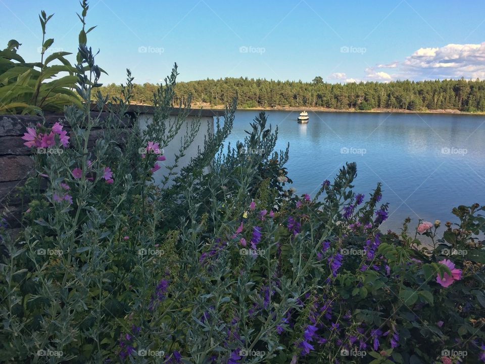 View over lake