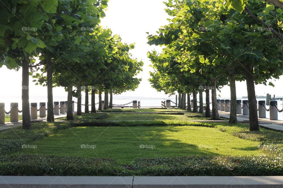 green green in this scene