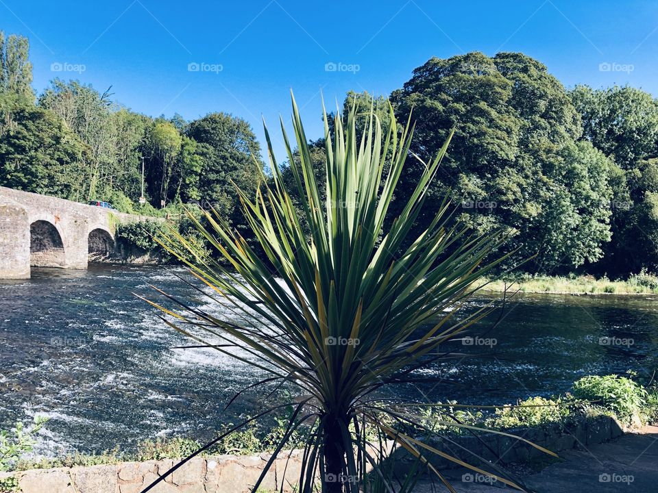 A tropical touch being highlighted to the full, with paradise nature and glorious sunshine.